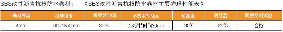 耐根穿刺化学阻根SBS防水卷材(图2)